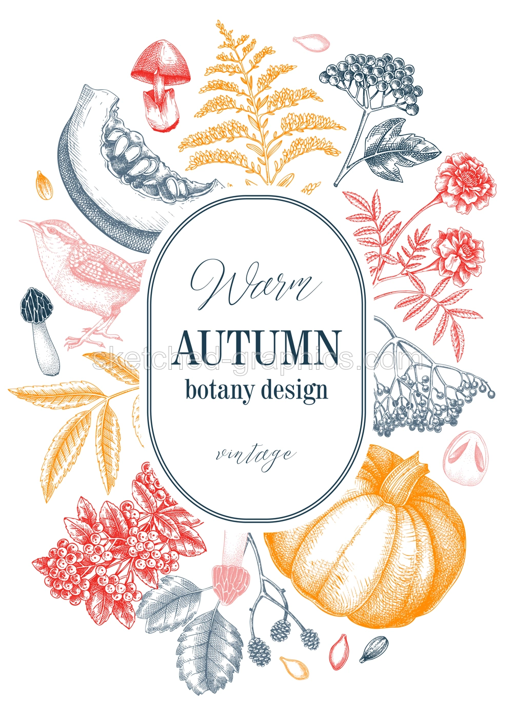 Vintage autumn card design. Thanksgiving background. Fall leaves, pumpkins, berries, mushrooms sketches. Hand-drawn vector illustration. NOT AI generated Illustration